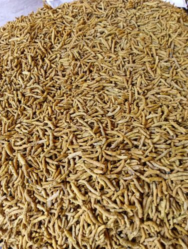 Lifora Organic Dried Turmeric Finger, Packaging Size : 25Kg