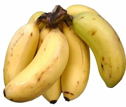 A Grade Organic Rasthali Banana, Color : Golden Yellow