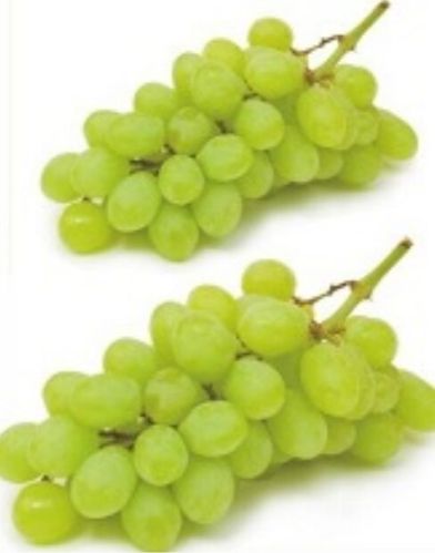 Fresh Thompson Seedless Grapes