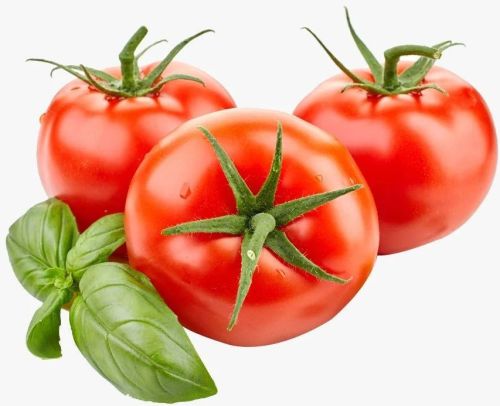 Natural Hybrid A Grade Red Fresh Tomato, Packaging Type : Loose
