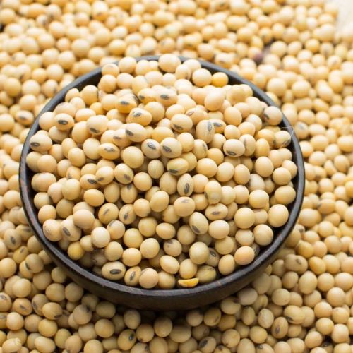 Organic Soybean Seeds Dried, Certification : FSSAI Certified