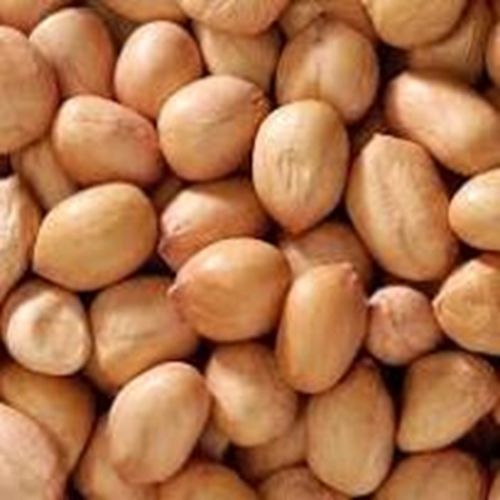 Impexon Global Black Cotton Soil Ground Nut