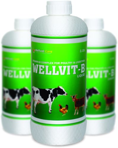 Wellvet Care Liquid Vitamin B Complex Syrup
