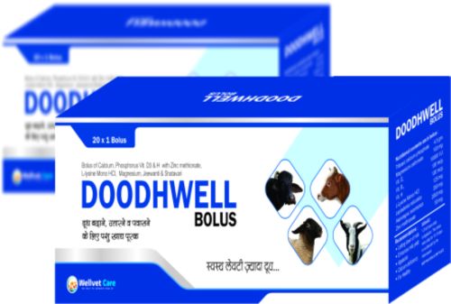 Wellvet Care Milk Booster Calcium Bolus, Color : White for Animals Use