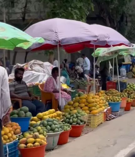 Mango, Packaging Size : 5Kg, 10Kg, Packaging Type : Crate