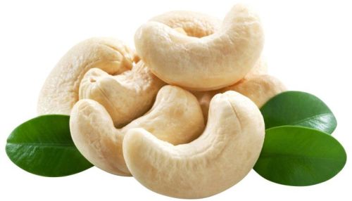 Naturenest Exports Raw Hard Cashew Nuts, Color : White, Creamy