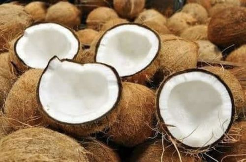 Naturenest Exports Organic Fresh Coconut