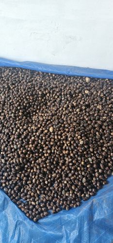 A Grade Nutmeg, Packaging Type : Black for Cooking, Food