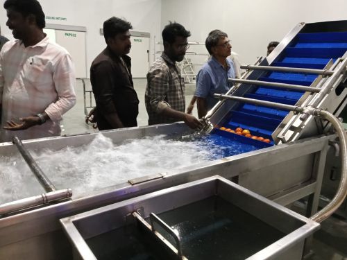 Natural Banana Powder Processing Plant, Packaging Type : Plastic Bag