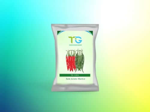 Sun Drying Hybrid Chilli Seeds TG-Lisa, Packaging Size : 10gm 12%
