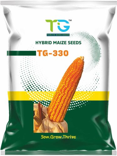 Machine Drying Hybrid Maize Seeds TG-330, Packaging Size : 3.6Kg