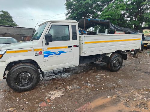 Domestic Cargo Transportation Service