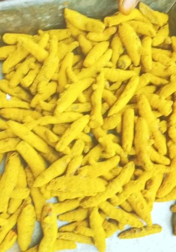 Polished Turmeric Finger