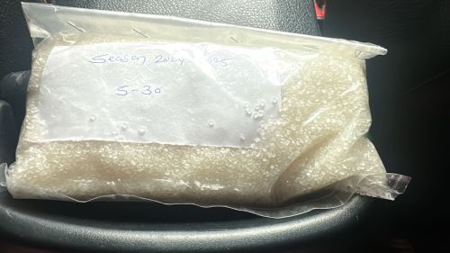 Sugar S-30, Form : Granules, Packaging Type : White