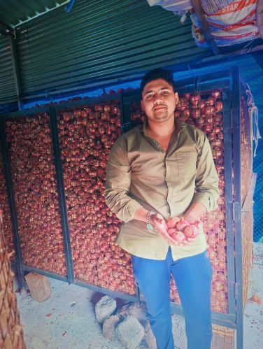 Sunshine farms onions, Packaging Size : 25Kg, 50Kg Red