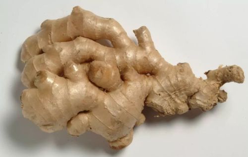 Natural Ginger, Form : Whole for Spices, Cooking