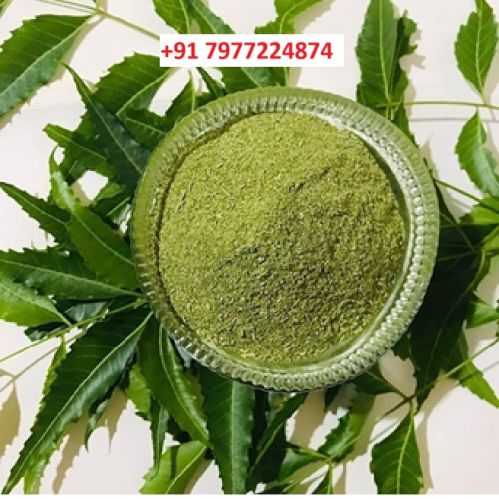Ashten Neem Powder, Packaging Size : 2Kg, 50g, 25Kg