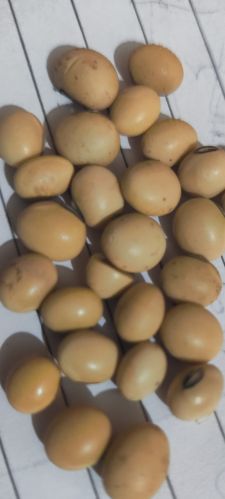Common soyabean, Packaging Type : Yellow
