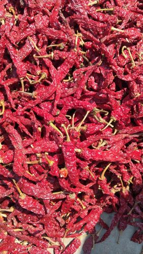 Natural 2043 Dry Red Chilli, Packaging Size : 30kg Food Grade