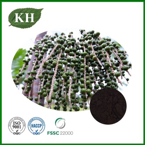Acai Berry Extracts, Brand Name : Kingherbs Limited, Form : Powder