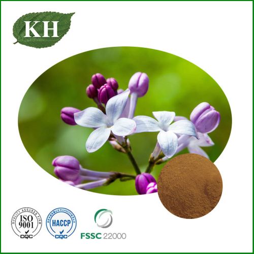 Kingherbs Clove Extract, Packaging Size : 25Kg, Specialty : Natural
