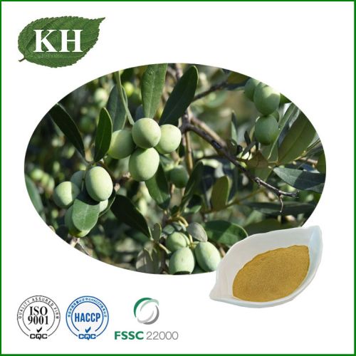 Natural Olive Leaf Extract, Brand Name : Kingherbs, Form : Powder