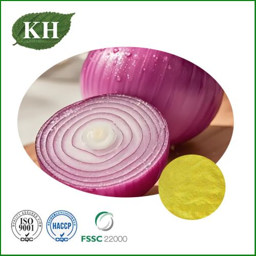 Onion Extract, Form : Powder, Packaging Type : Light Yellow