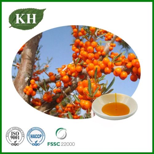 Organic Sea Buckthorn Seed Oil, Brand Name : Kingherbs