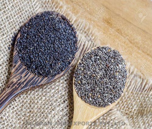 Basil Seeds, Purity : 99%, 99.50%, Packaging Type : 10 Kg, 15 Kg