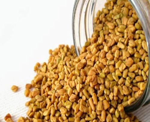 Fenugreek Seeds, Color : Yellowish Brown