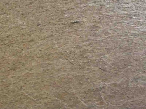 Natural Cleft Golden Quartzite Stone, Shape : Irregular