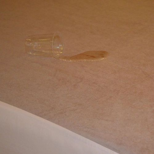 100% Terry Cotton Waterproof Mattress Protector Brown Skirting