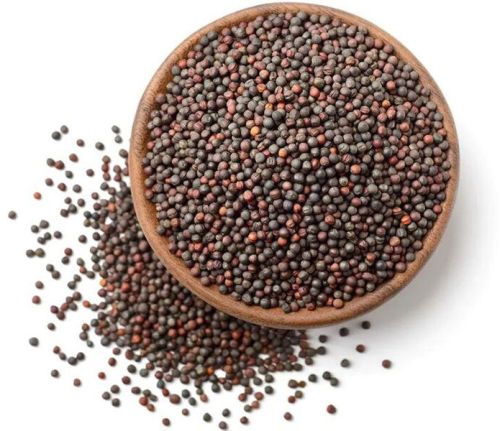 Brown Mustard Seeds, Packaging Type : Plastic Pouch, Plastic Packet