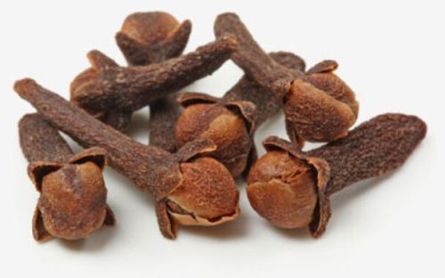 Clove Seeds, Color : Brown for Culinary Medicinal Purposes