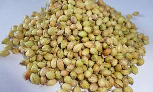 Coriander Seeds, Color : Brown for Cooking, Traditional Remedies
