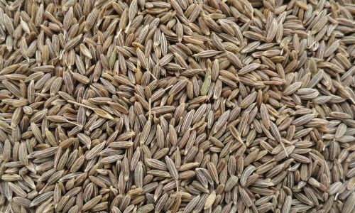 Cumin Seeds, Color : Brown for Curries, Rice, Etc