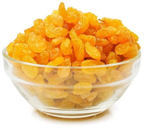 Golden Raisins- Premium for Snacking, Desserts, Cookingqq