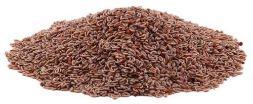 Glossy Smooth Psyllium Seeds, Color : Light Brown