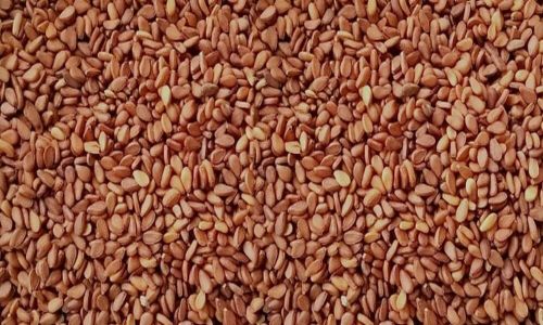Red Sesame Seeds, Color : Reddish-brown