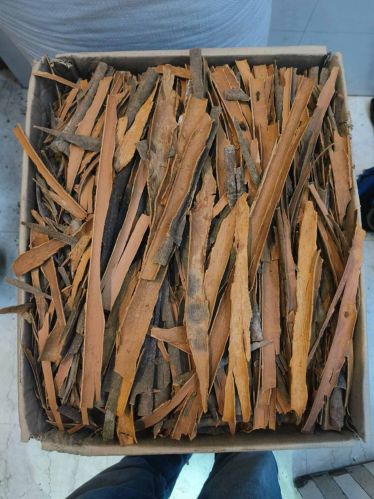 Cinnamon Split, Packaging Type : Loose Packing