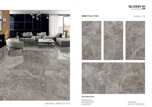 Raykas Ceramic Glossy Designer Granite Floor Tile 600X1200 Mm