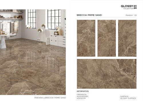 Raykas Glossy Porcelain Designer Kitchen Wall Tiles 600X1200 Mm
