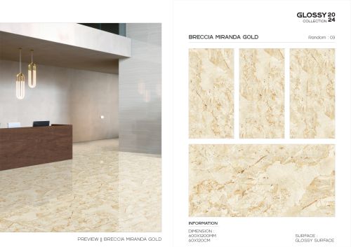 Raykas Glossy Ceramic Granite Floor Tiles, Color : All 600X1200 Mm