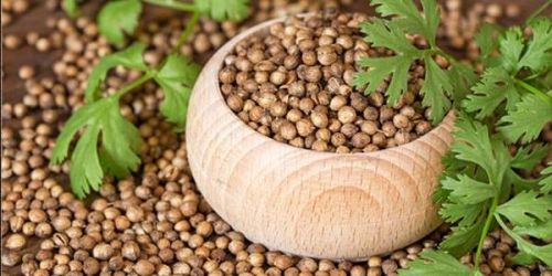 Coriander Seeds for Cooking, Spices