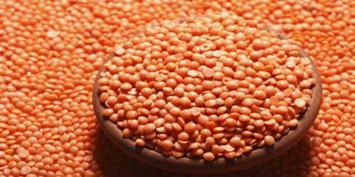 Masoor Dal (Red Lentils)