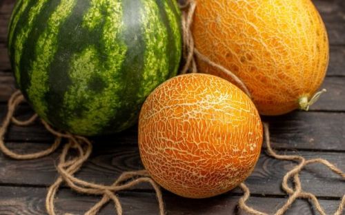 Fresh Muskmelon, Color : Light Green To Orange, Taste : Sweet Juicy