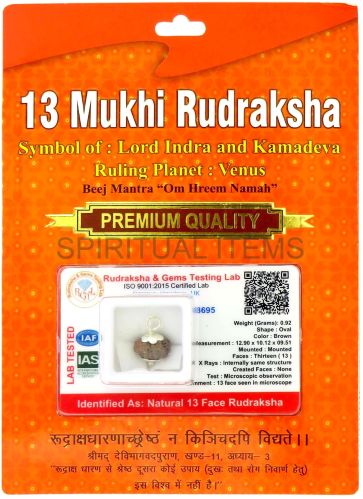 13 Mukhi Rudraksha Pendant Standard for Religious
