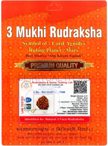 3 Mukhi Rudraksha Pendant, Color : Brown Standard