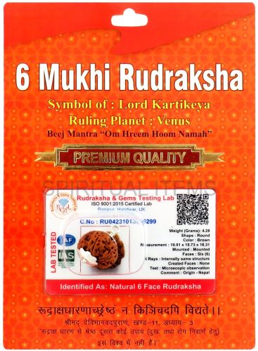 6 Mukhi Rudraksha Pendant Standard, Gender : Female, Male, Unisex