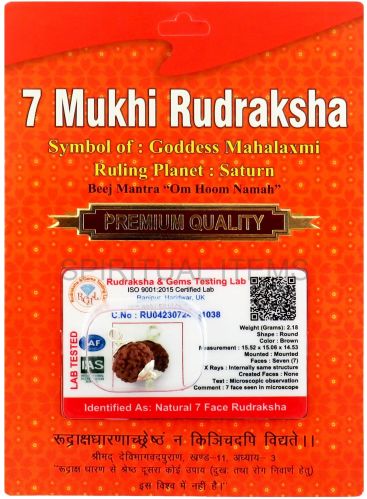 7 Mukhi Indonesian Rudraksha Pendant Standard, Gender : Unisex